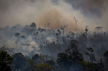 L’Amazzonia potrebbe diventare una “fabbrica” di carbonio entro il 2030