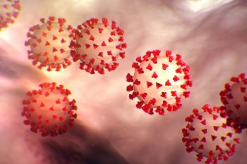 Nuovo Coronavirus, sarà il caldo a portarlo via?