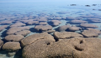 Studio: la Terra potrebbe non aver perso ossigeno 2 miliardi di anni fa