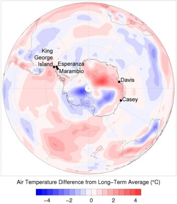 Antartide: cosa succede quando il caldo arriva nel luogo più freddo della Terra?