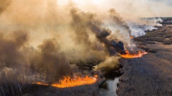 Nuovi incendi a Chernobyl, la nube tossica ha raggiunto Kiev