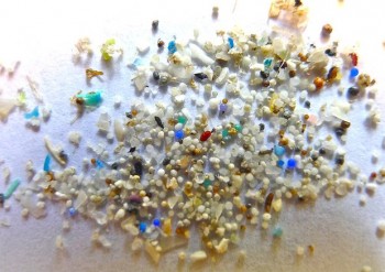 Nei fondali del Mar Tirreno è record di microplastiche: 1,9 milioni di frammenti a metro quadro