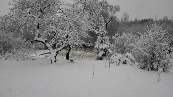 Cronaca meteo: freddo e neve sul Centro-Nord Europa