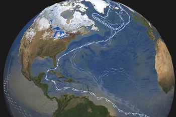 Gli oceani stanno subendo un cambiamento mai visto in 10.000 anni