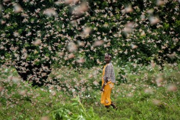 Giornata mondiale dell’Ambiente: dalle locuste alla pandemia, i segnali di un Pianeta che soffre