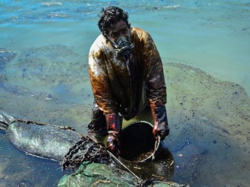 Disastro ambientale a Mauritius: cosa sta succedendo