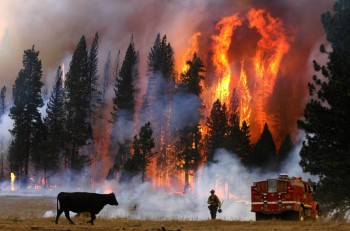 Incendi USA: le cause che stanno portando la California a “bruciare un pezzo alla volta”