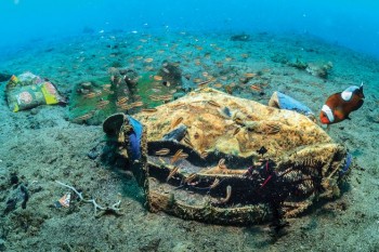 Sui fondali marini ci sono 14 milioni di tonnellate di microplastiche