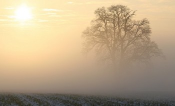 Super Anticiclone in settimana: estate di San Martino confermata con sole, nebbie e foschie, ma con qualche pioggia!