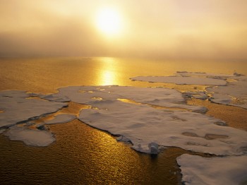 WMO: con il 2020 termina un decennio di caldo record