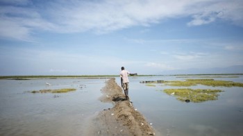 Anche le lingue scompariranno con il cambiamento climatico: ecco perché