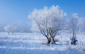 Gelo intenso sulle aree appenniniche: minime odierne localmente fino a -22°C in Abruzzo