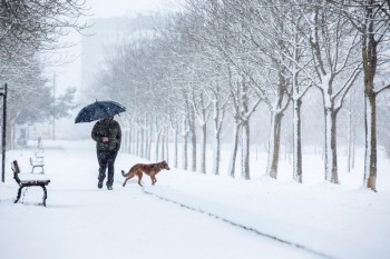 Artico sempre più caldo, Europa sempre più fredda. Ecco perché