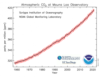 La pandemia ha avuto un impatto sulla concentrazione globale di anidride carbonica?