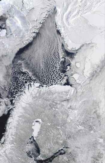 Aprile con gelo e neve: perché in Europa fa così freddo?