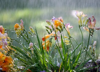 Settimana con stop alla Primavera: aria più fresca e piogge diffuse da nord a sud!