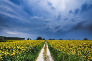 Svolta meteo nel Weekend: da sabato temporali, Pasqua colpo invernale, resisterà a Pasquetta?