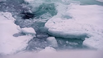 Le pericolose “bombe termiche” che stanno entrando nell’Oceano Artico