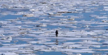 Il sapore del cibo potrebbe cambiare a causa del riscaldamento globale