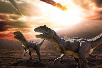 Il disastro che causò l’estinzione dei dinosauri ha ancora oggi effetti sulla vita terrestre