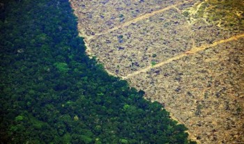 La foresta amazzonica ha ufficialmente iniziato a produrre più CO2 di quanta ne assorbe