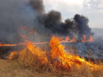 Ondata di calore in Europa: temperature fino a 10-15 °C sopra la media, possibili record in Italia