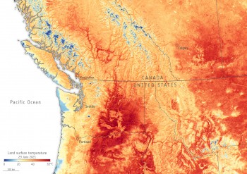 Ondata di caldo estremo in Nord America: “impossibile senza cambiamento climatico”