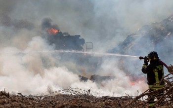 Incendi in Sardegna: distrutti 20mila ettari di territorio, ci vorranno 15 anni per la ripresa