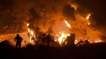 Incendi in Algeria: 42 le vittime