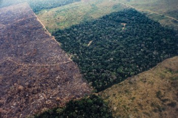 Deforestazione Amazzonia: bilancio più grave degli ultimi 10 anni