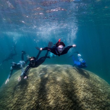 Scoperto un corallo gigante, ha 400 anni ed è incredibilmente sano