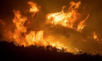 Incendi nel mondo sempre più devastanti: aumenta ancora il livello di CO2