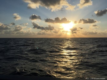 Un’atmosfera sempre più acida sbilancia l’ecologia degli oceani