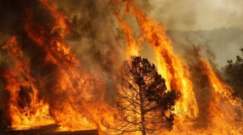 Ogni anno 33 mila persone perdono la vita a causa del fumo degli incendi