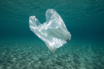 La luce solare può trasformare i rifiuti di plastica in nuove (pericolose) sostanze