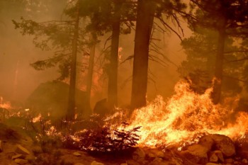 Incendio in California: migliaia di evacuati