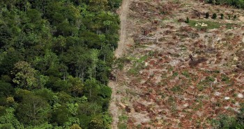 Gas serra: dati preoccupanti dalla Foresta Amazzonica