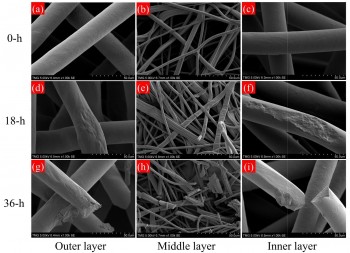 Covid litter: una sola mascherina può rilasciare 1,5 milioni di microplastiche