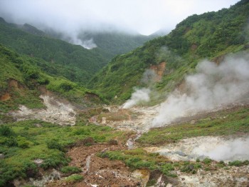 ONU: 10 foreste protette dall’UNESCO emettono valori estremi di CO2