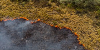 L’umanità ha accorciato i tempi dei cambiamenti naturali terrestri, da milioni di anni a pochi secoli