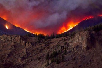 Incendi boschivi: nell’ultimo decennio gli 8 anni peggiori di sempre