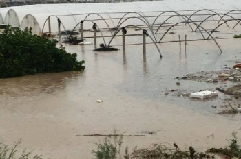 Clima: gli eventi estremi hanno causato un danno da due miliardi nel settore agricolo