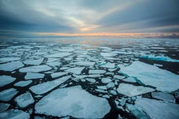 Il legame sorprendente tra il ghiaccio marino artico e gli incendi boschivi in USA