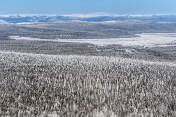 Temperature artiche da record durante il 2020: toccato un picco di +38°C in Siberia