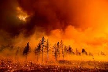 Altissimi i valori di carbonio emesso dagli incendi: a livello globale si arriva a un totale di 1,76 miliardi di tonnellate