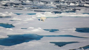 Le superfici di ghiaccio artiche e antartiche continuano a diminuire: registrati dati record durante il mese di novembre