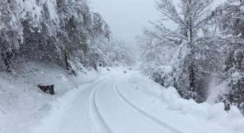 La neve causa danni nel Nord Italia: grave un ragazzo finito fuori strada con la sua vettura