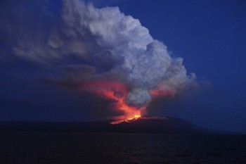 Erutta il vulcano Wolf, il più alto delle Galapagos: immagini spettacolari!