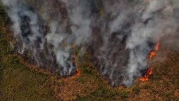 Un incendio sta devastando l’Argentina: 800 mila ettari di terreno in fiamme