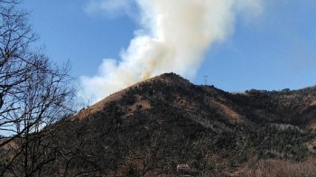 Continuano gli incendi in Piemonte: in fiamme anche i boschi della Val di Susa